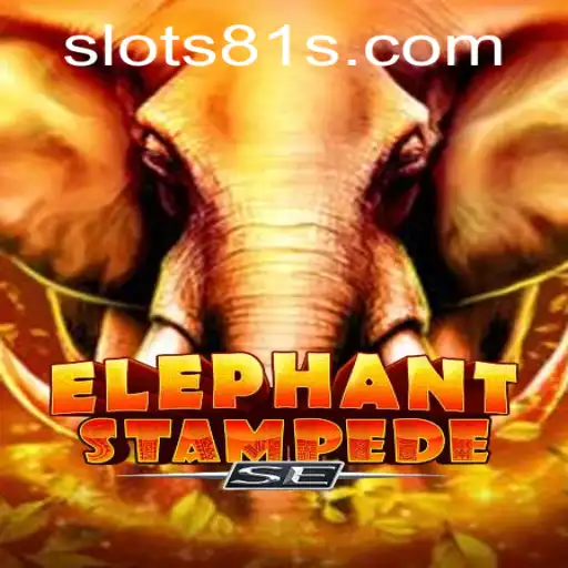 SLOTS81 Casino App